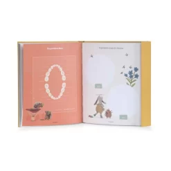 Livre De Naissance Trois Petits Lapins 80 Pages - Moulin Roty