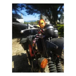 Peluche Lion Roméo - Les Broc & Roll's - Moulin Roty -Petits Rêves Soldes moulin roty peluche lion romeo les broc roll s 3