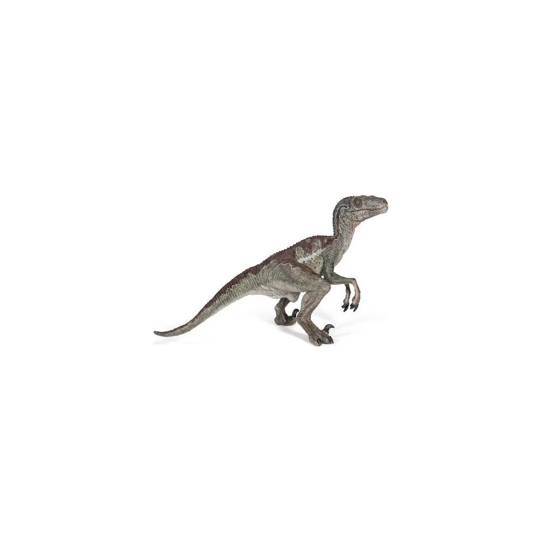 Figurine Vélociraptor Dinosaure - Papo 2 Figurine Vélociraptor Dinosaure - Papo – Image 2