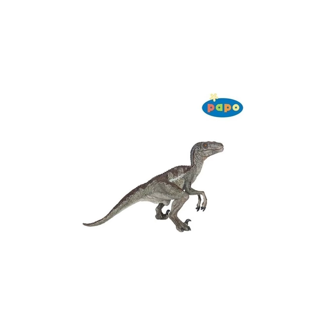 Figurine Vélociraptor Dinosaure - Papo 1 Figurine Vélociraptor Dinosaure - Papo